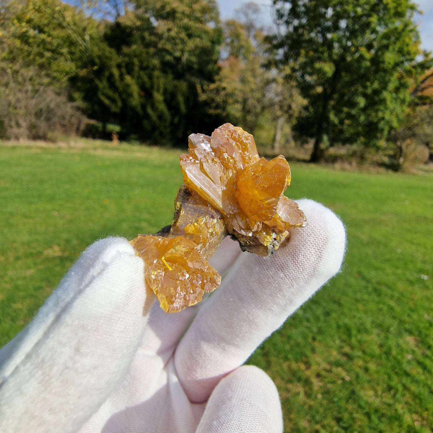 Orpiment - Cut 62, Twin Creeks Mine, USA.