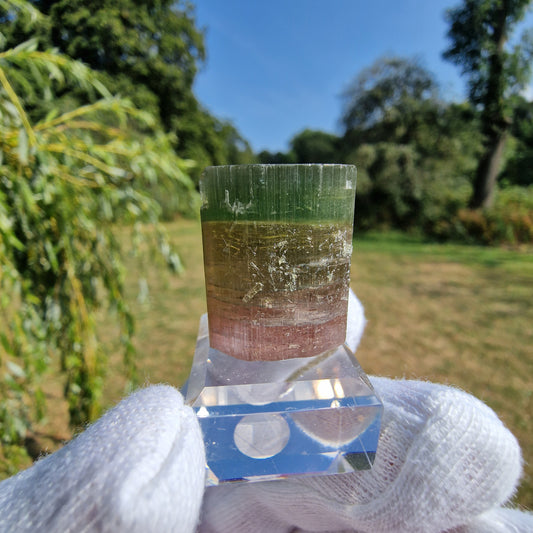 Elbaite Tourmaline - Himalaya Mine, California, USA.