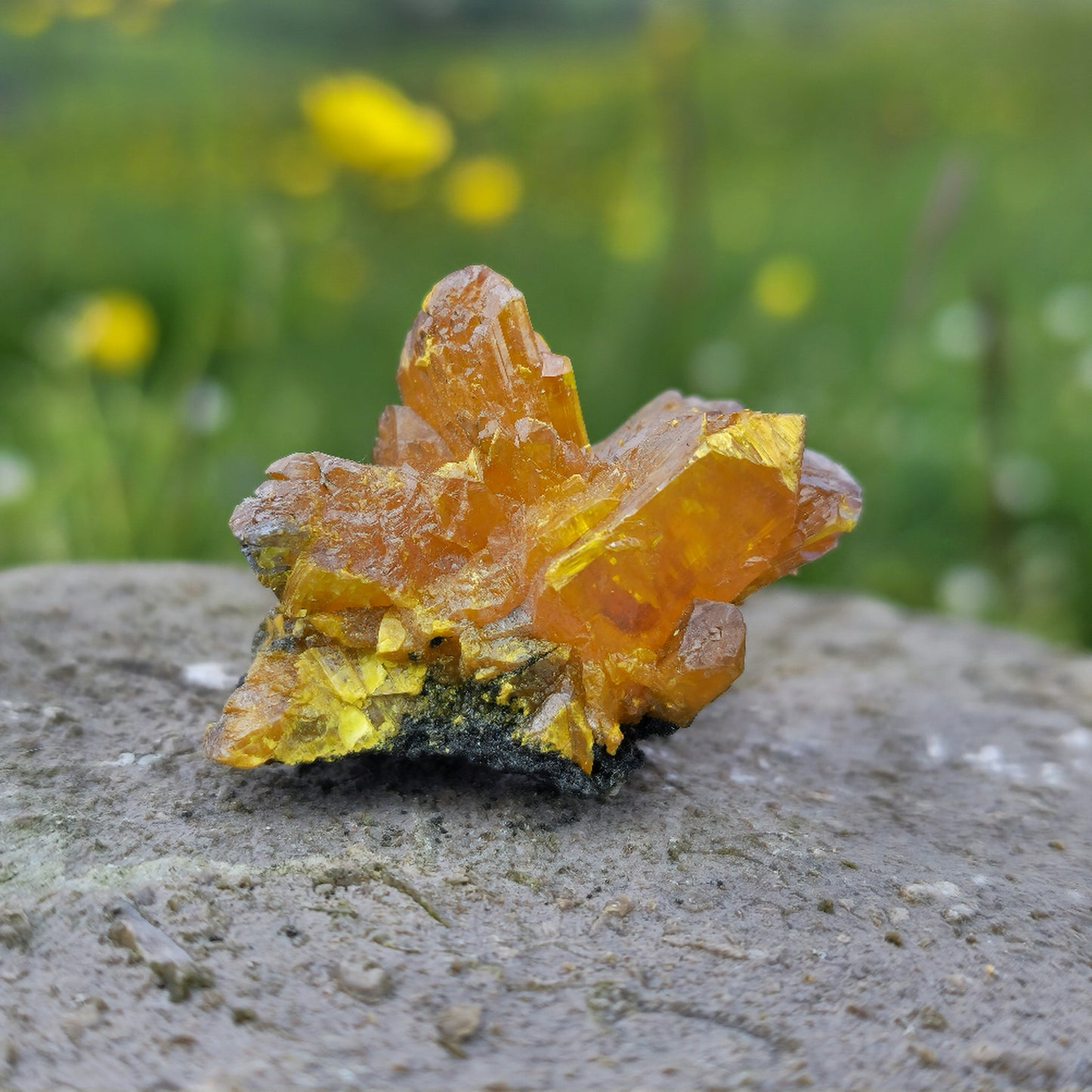 Orpiment - Cut 62, Twin Creeks Mine, USA.