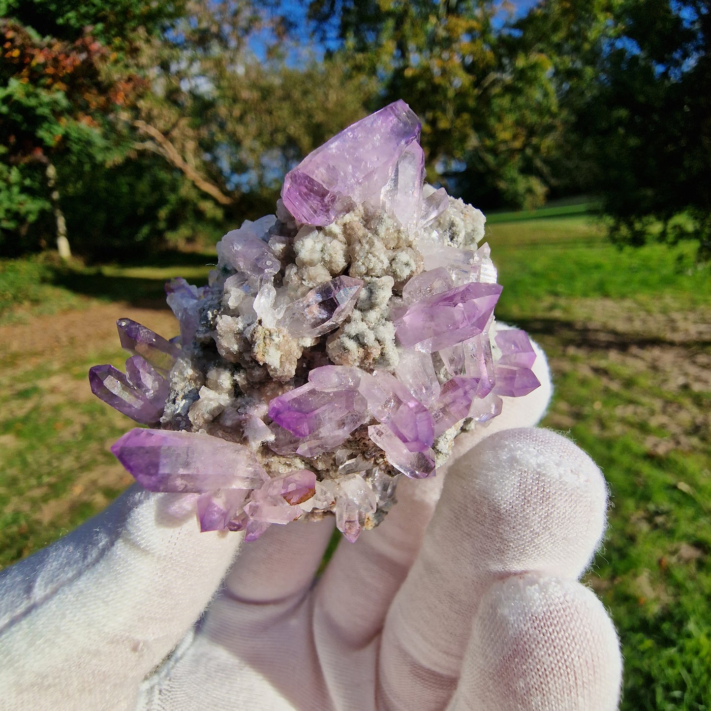 Quartz Var Amethyst - Veracruz, Mexico.