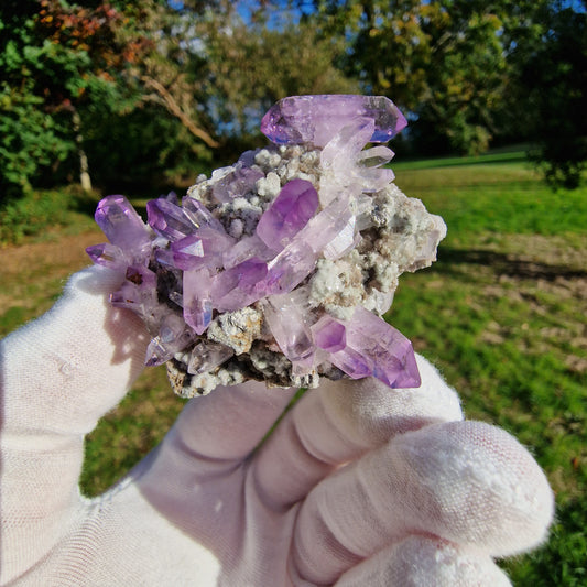 Quartz Var Amethyst - Veracruz, Mexico.