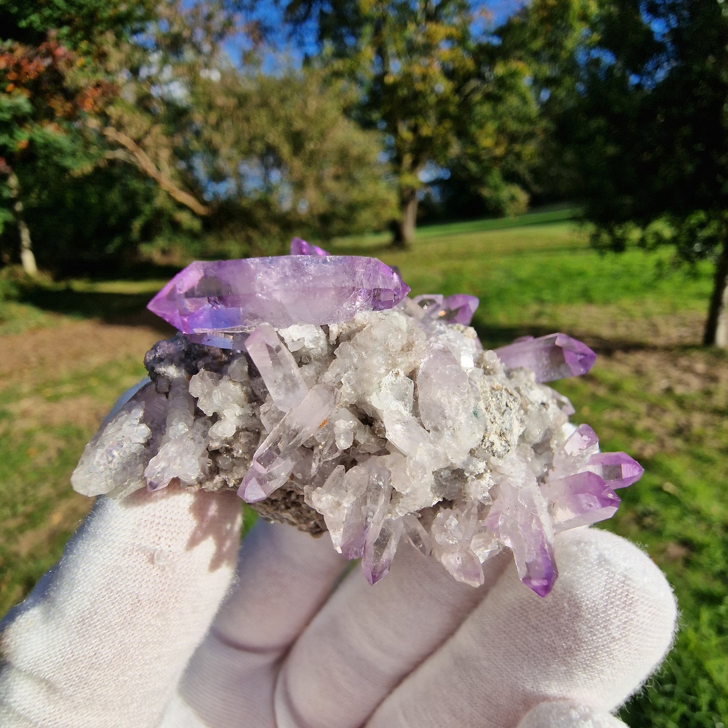 Quartz Var Amethyst - Veracruz, Mexico.