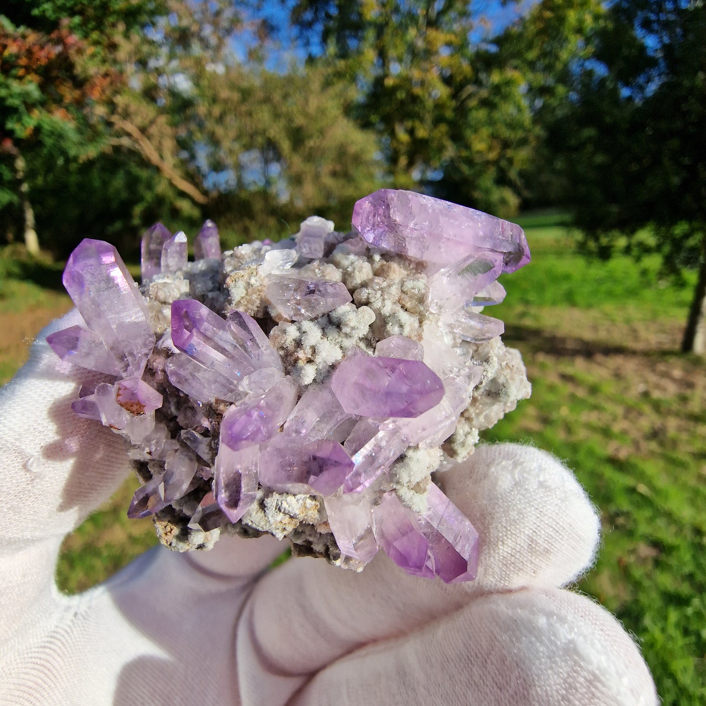 Quartz Var Amethyst - Veracruz, Mexico.