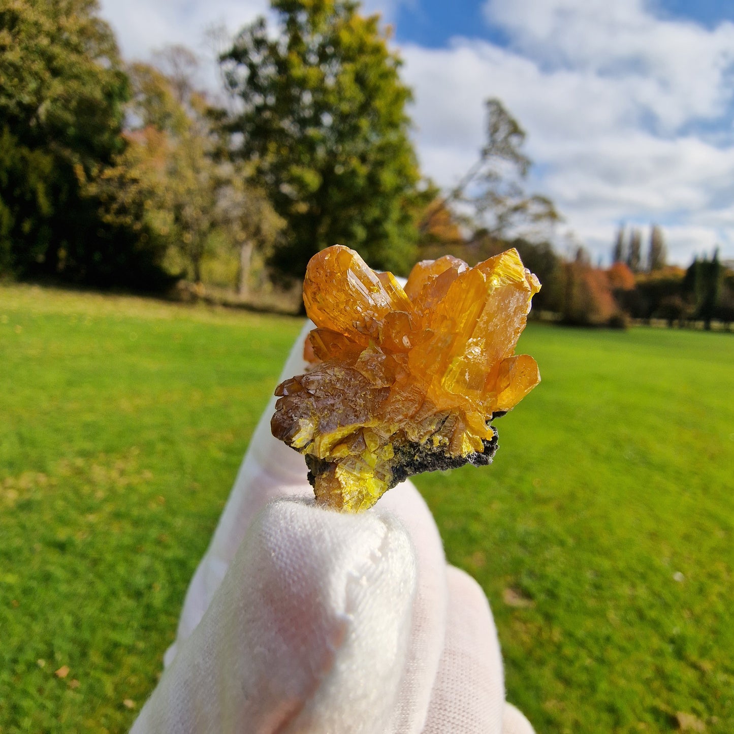 Orpiment - Cut 62, Twin Creeks Mine, USA.