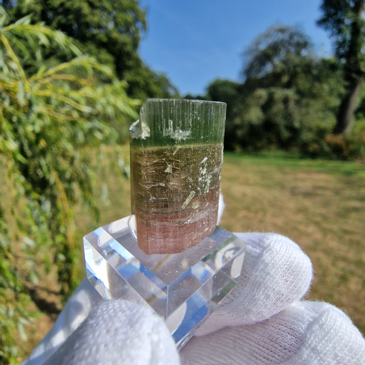 Elbaite Tourmaline - Himalaya Mine, California, USA.