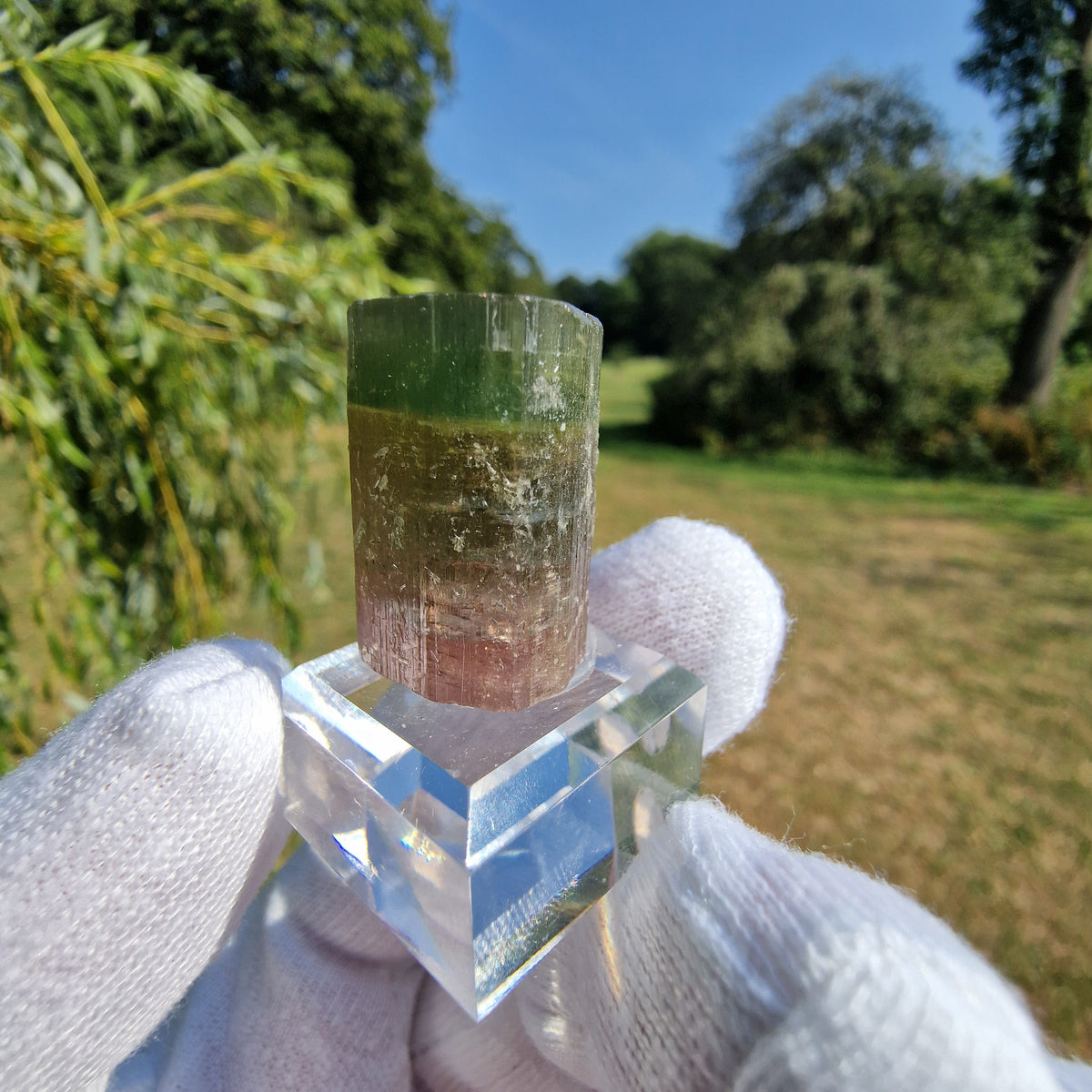 Elbaite Tourmaline - Himalaya Mine, California, USA.