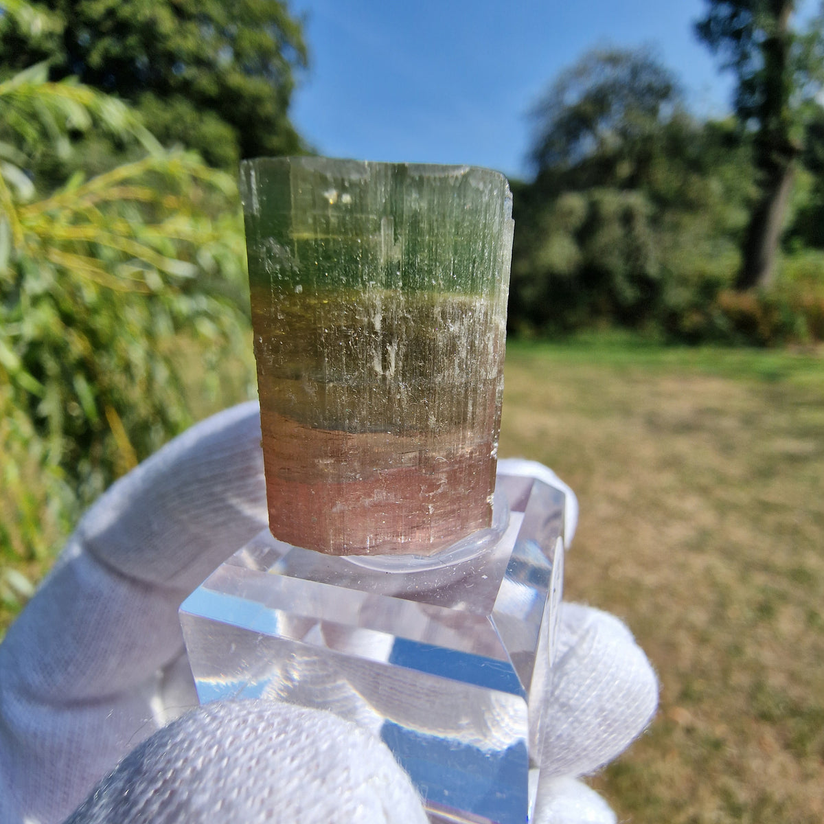 Elbaite Tourmaline - Himalaya Mine, California, USA.