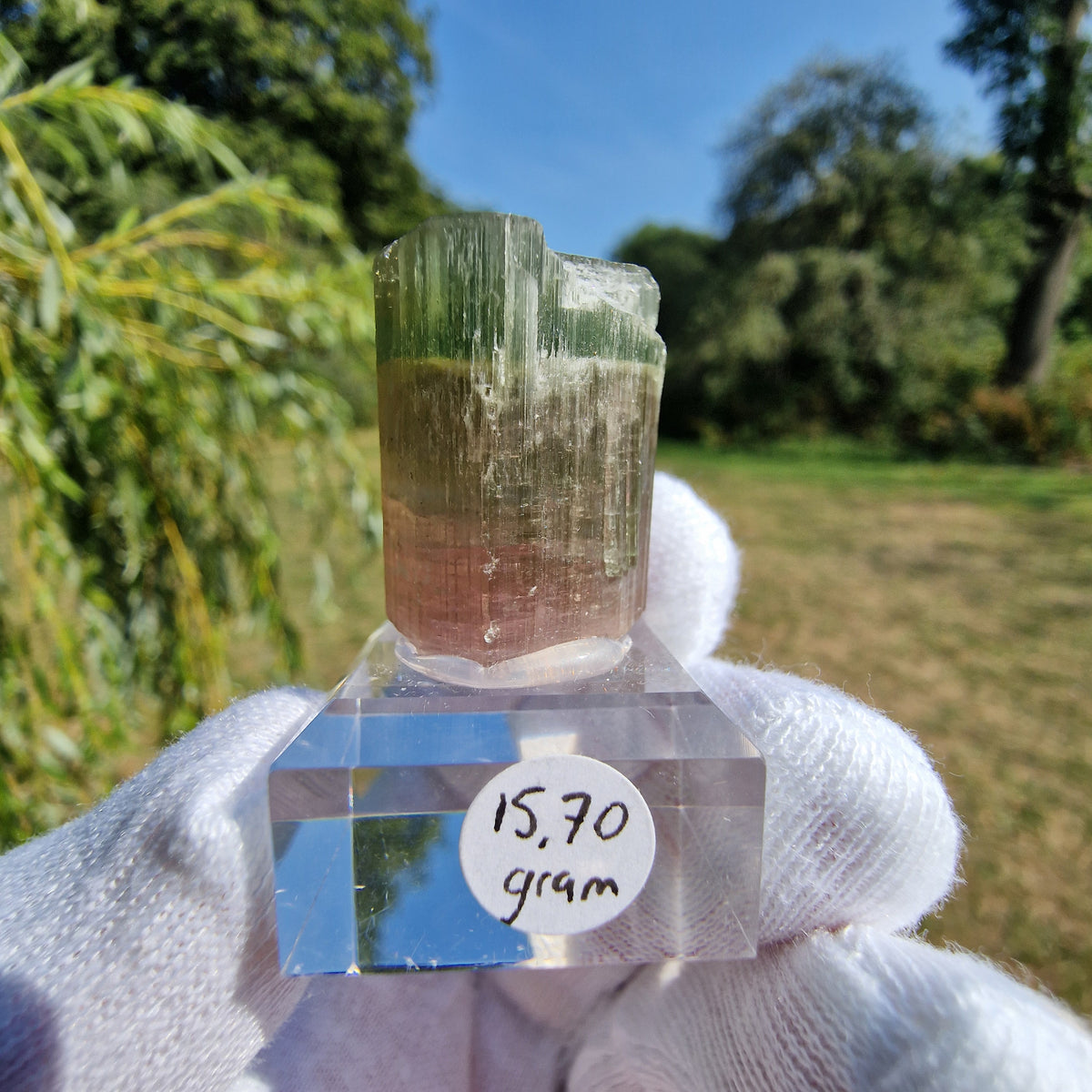 Elbaite Tourmaline - Himalaya Mine, California, USA.