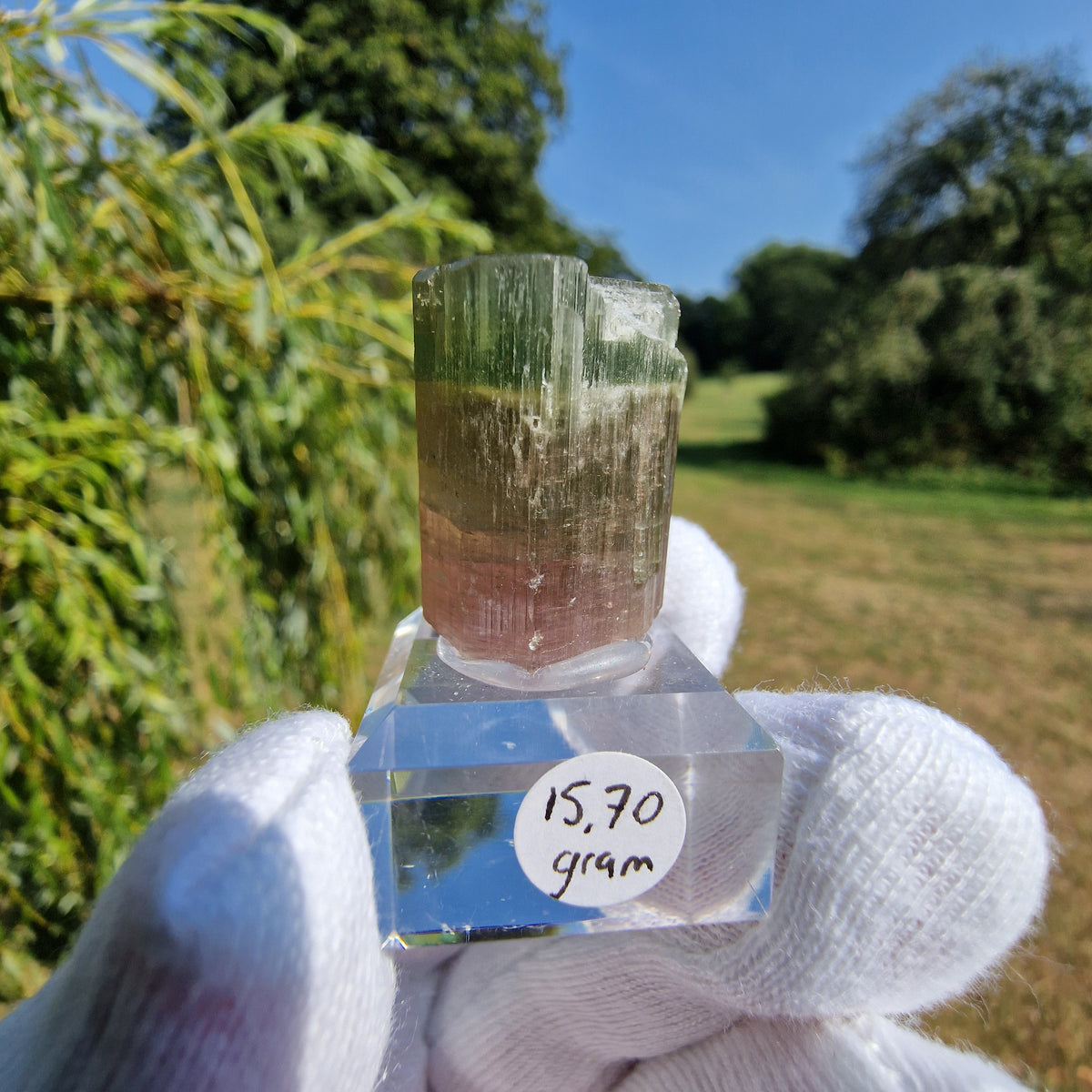 Elbaite Tourmaline - Himalaya Mine, California, USA.