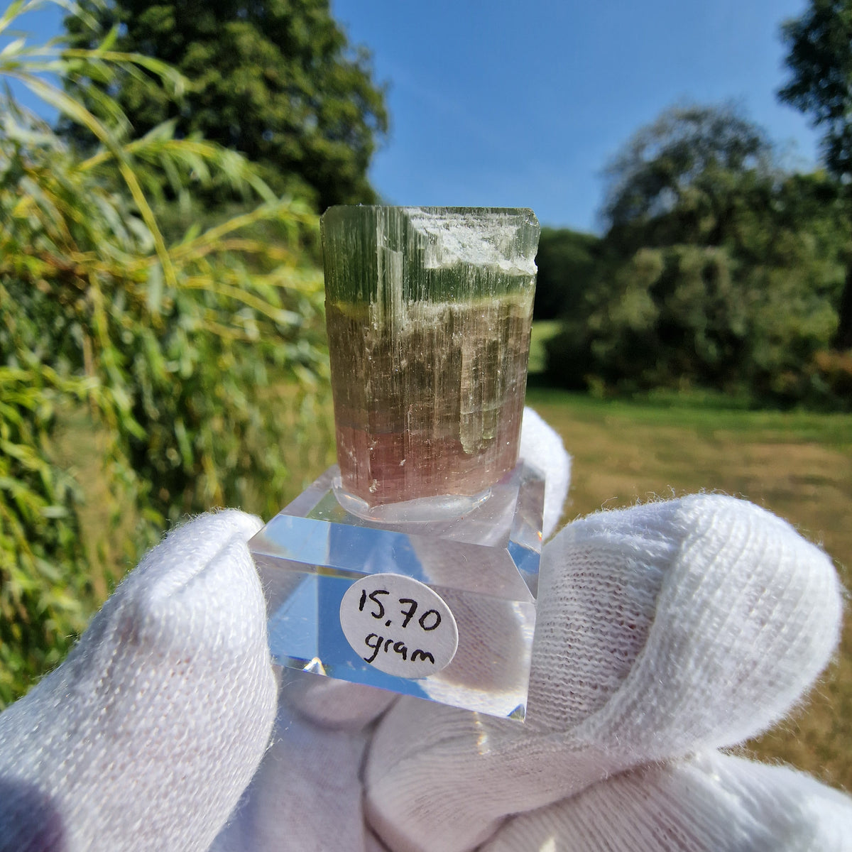 Elbaite Tourmaline - Himalaya Mine, California, USA.