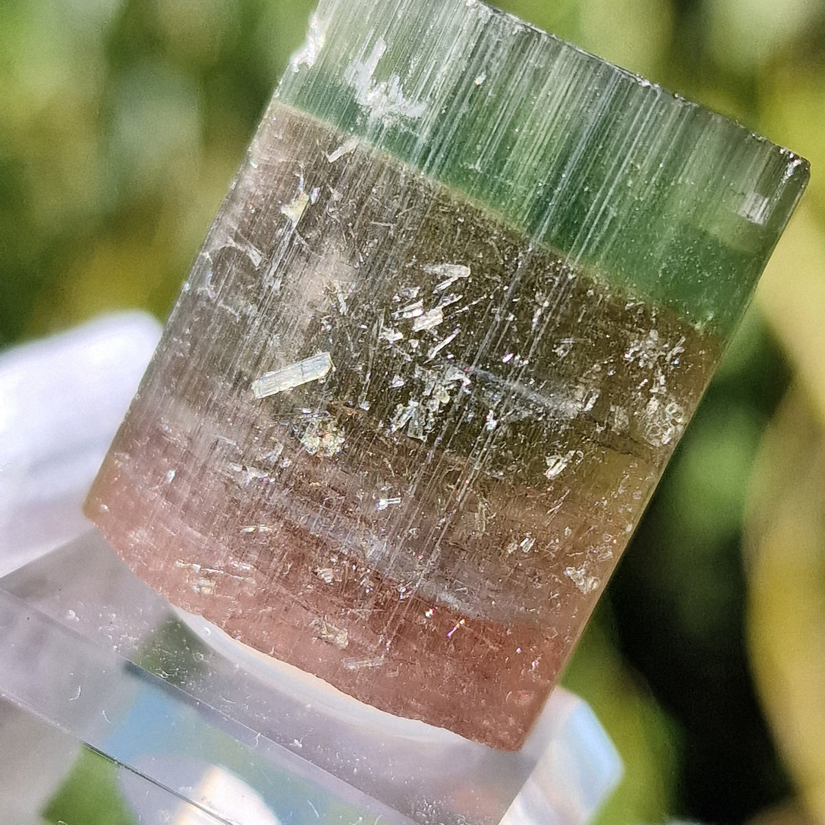 Elbaite Tourmaline - Himalaya Mine, California, USA.