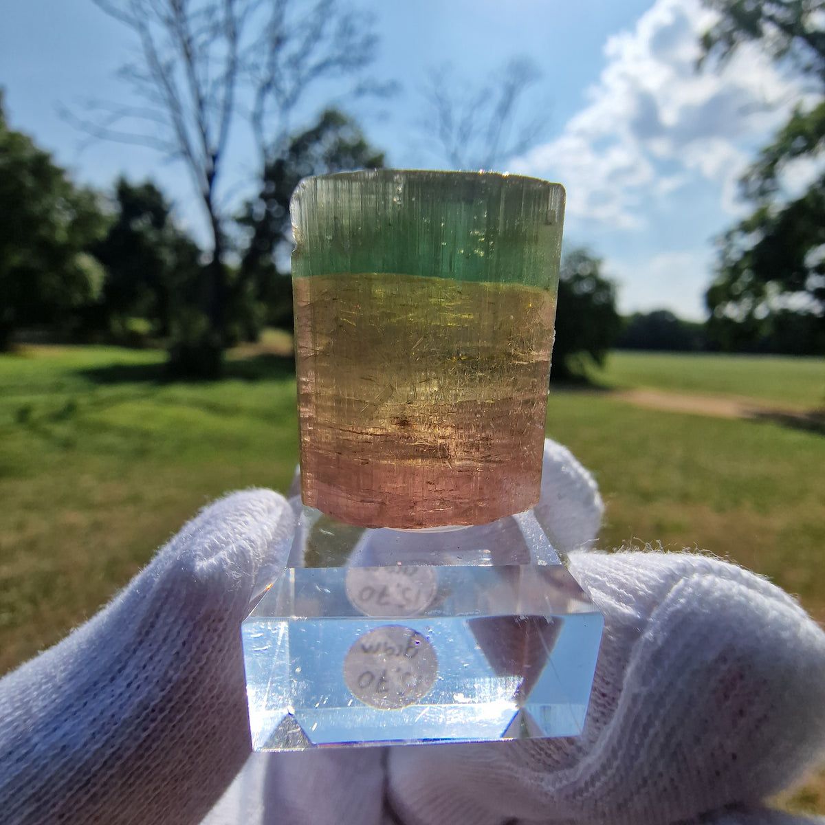 Elbaite Tourmaline - Himalaya Mine, California, USA.