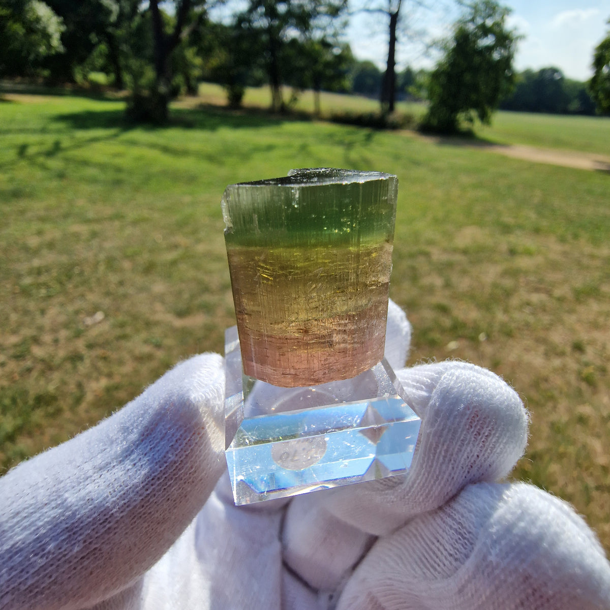 Elbaite Tourmaline - Himalaya Mine, California, USA.