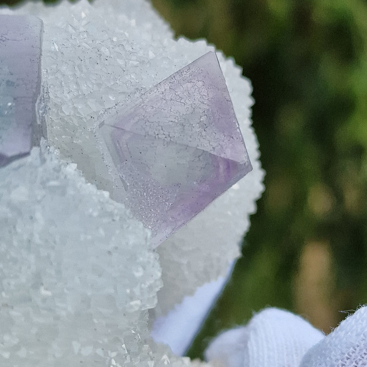 Fluorite on Druzy Quartz - Zhejiang, China.