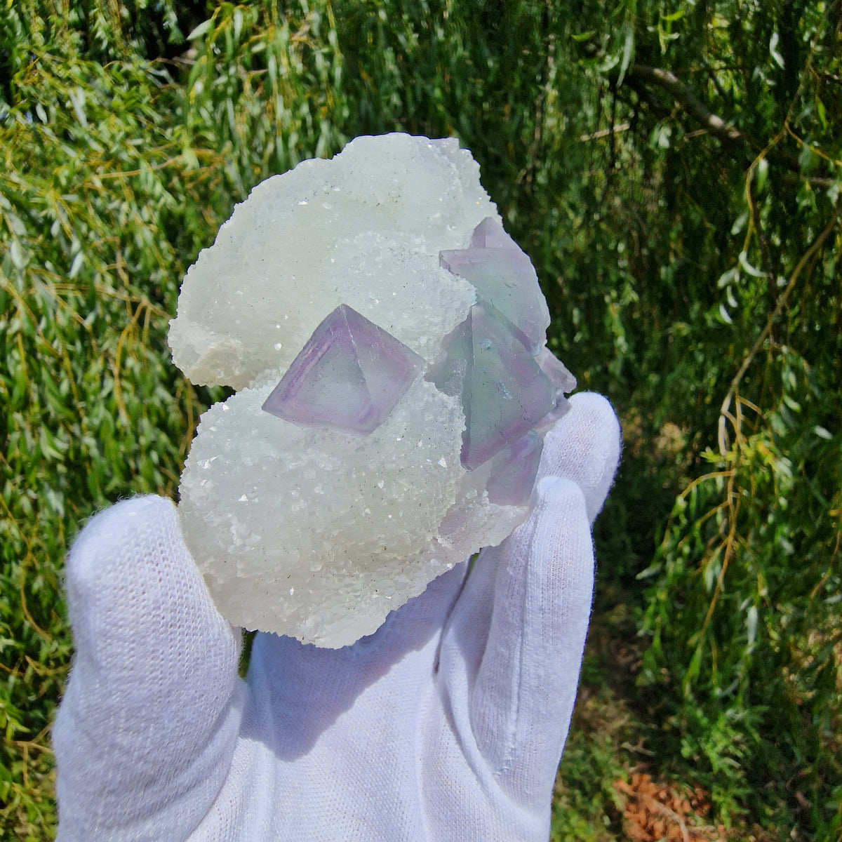 Fluorite on Druzy Quartz - Zhejiang, China.