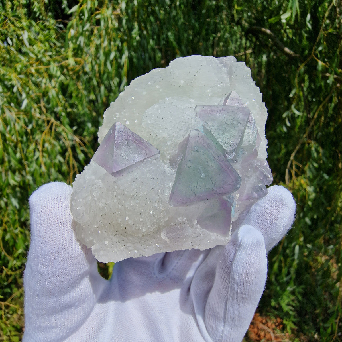 Fluorite on Druzy Quartz - Zhejiang, China.