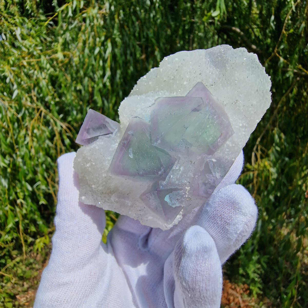 Fluorite on Druzy Quartz - Zhejiang, China.