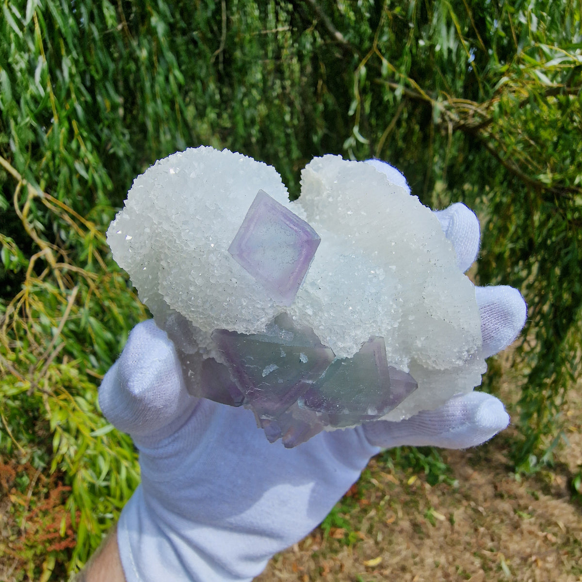Fluorite on Druzy Quartz - Zhejiang, China.