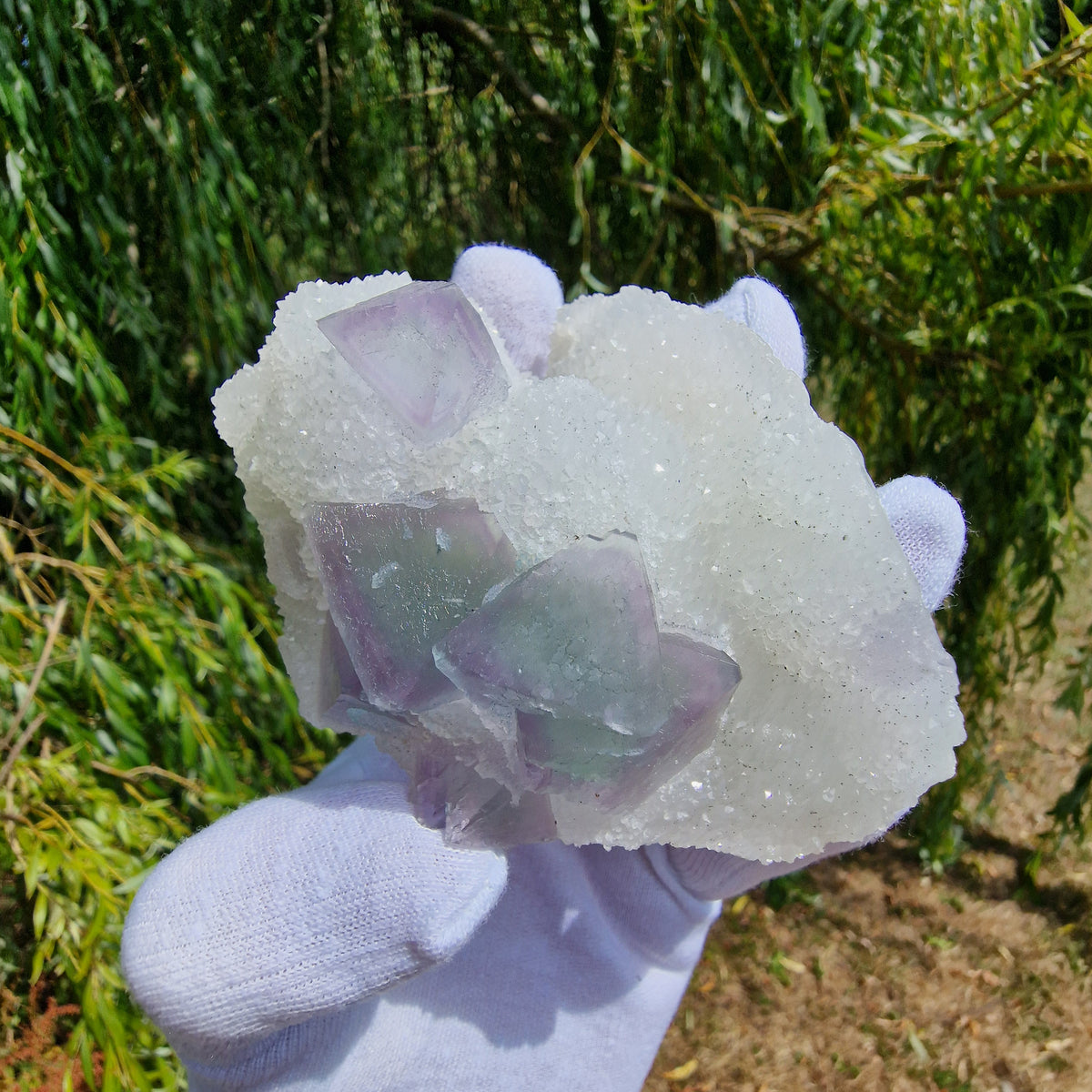 Fluorite on Druzy Quartz - Zhejiang, China.