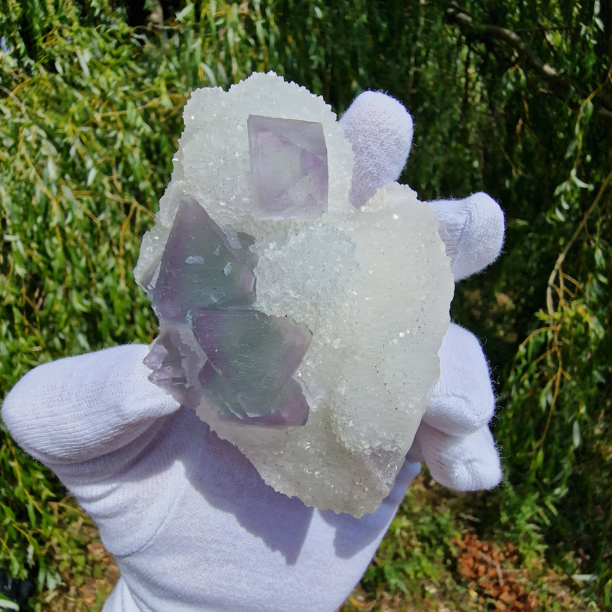 Fluorite on Druzy Quartz - Zhejiang, China.
