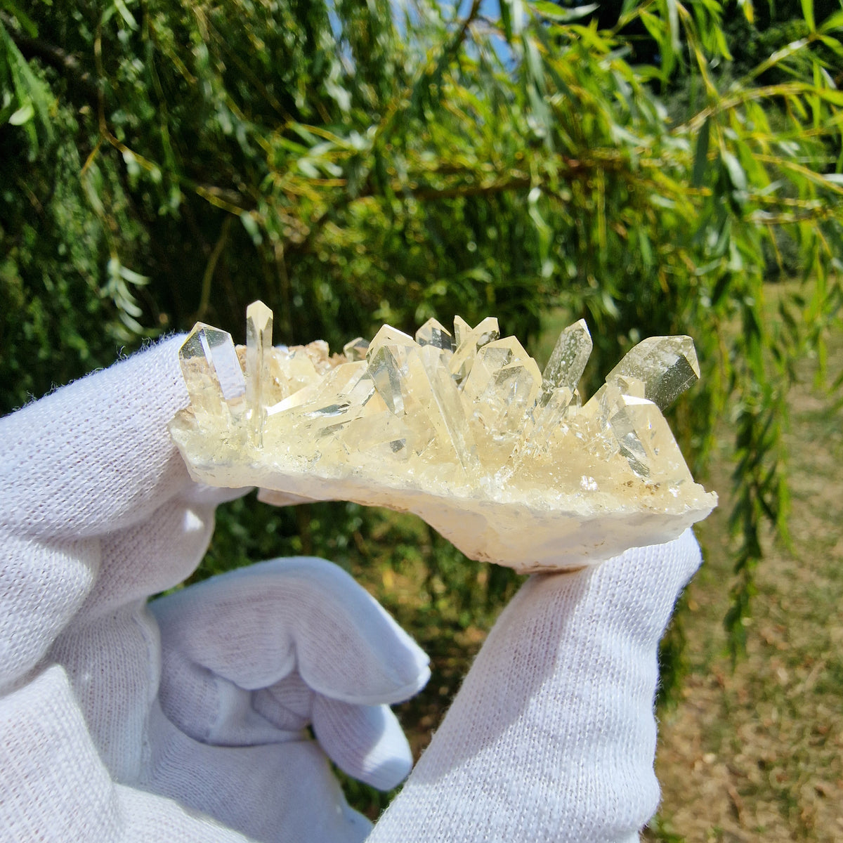Gypsum Var. Selenite - Alabaster Quarries, Spain.
