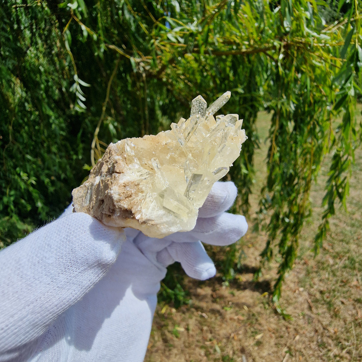 Gypsum Var. Selenite - Alabaster Quarries, Spain.