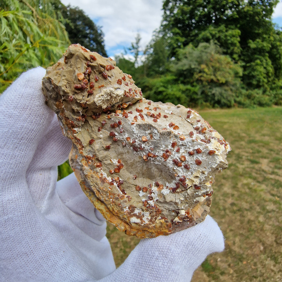 Clinoptilolite - Richardson's Ranch, Oregon, USA.