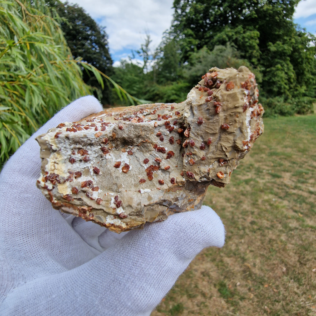 Clinoptilolite - Richardson's Ranch, Oregon, USA.