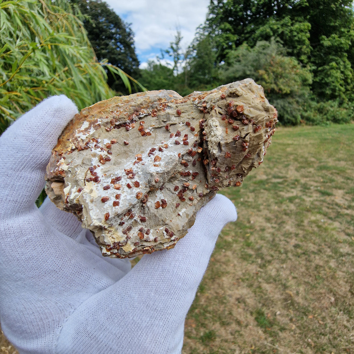 Clinoptilolite - Richardson's Ranch, Oregon, USA.