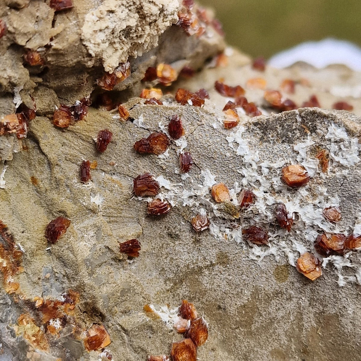 Clinoptilolite - Richardson's Ranch, Oregon, USA.