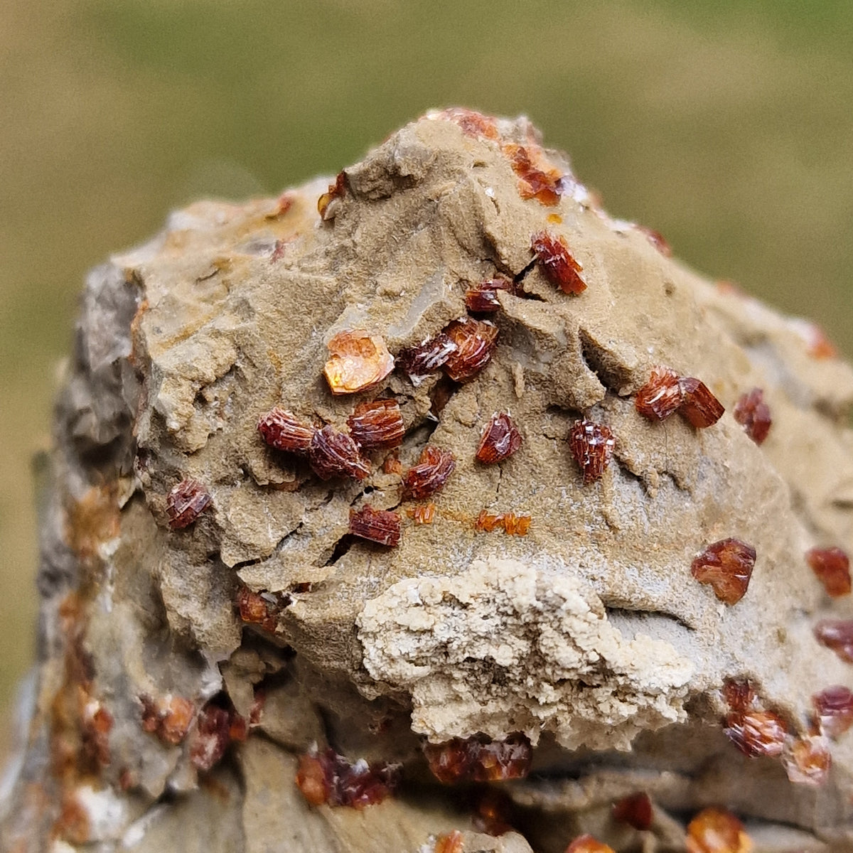 Clinoptilolite - Richardson's Ranch, Oregon, USA.