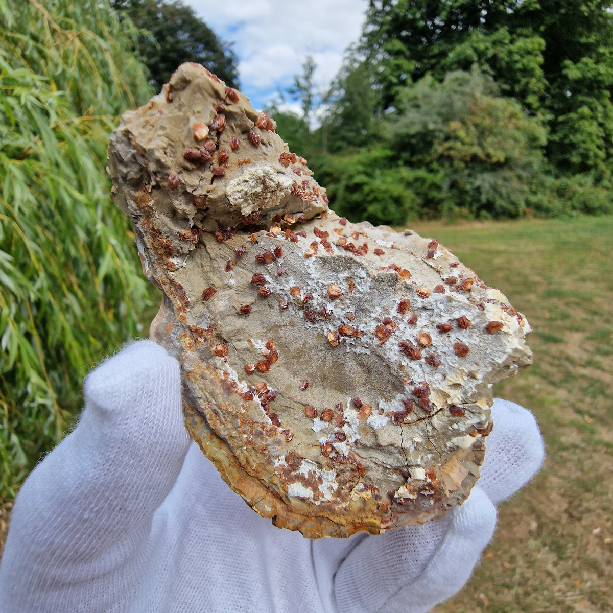 Clinoptilolite - Richardson's Ranch, Oregon, USA.
