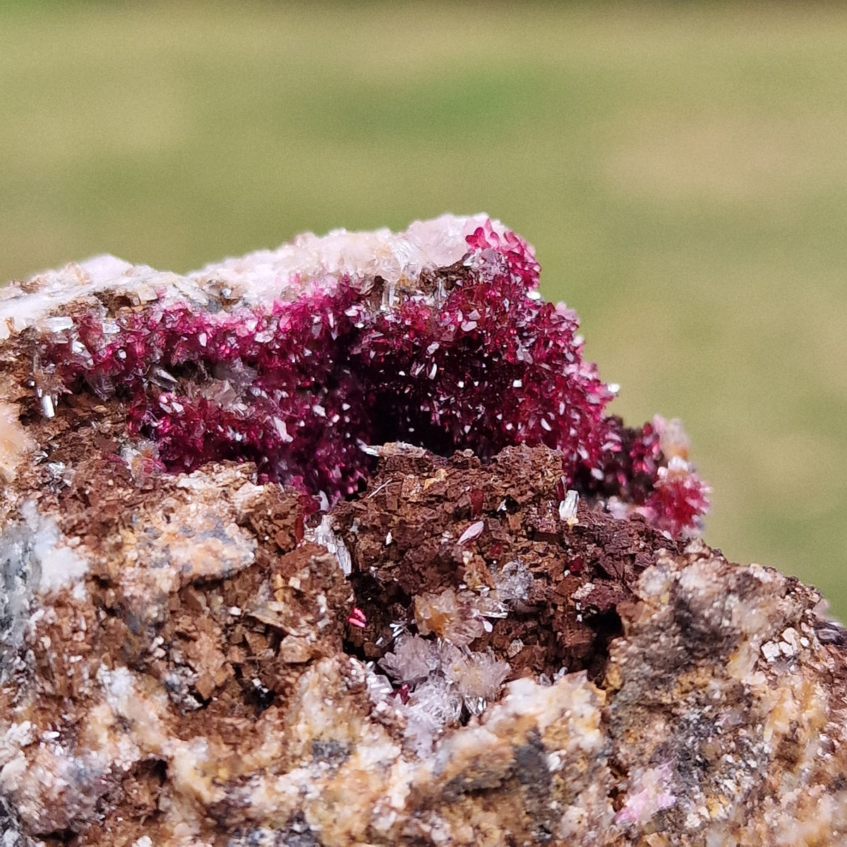 Wendwilsonite - Aghbar Mine, Bou Azzer, Morocco.
