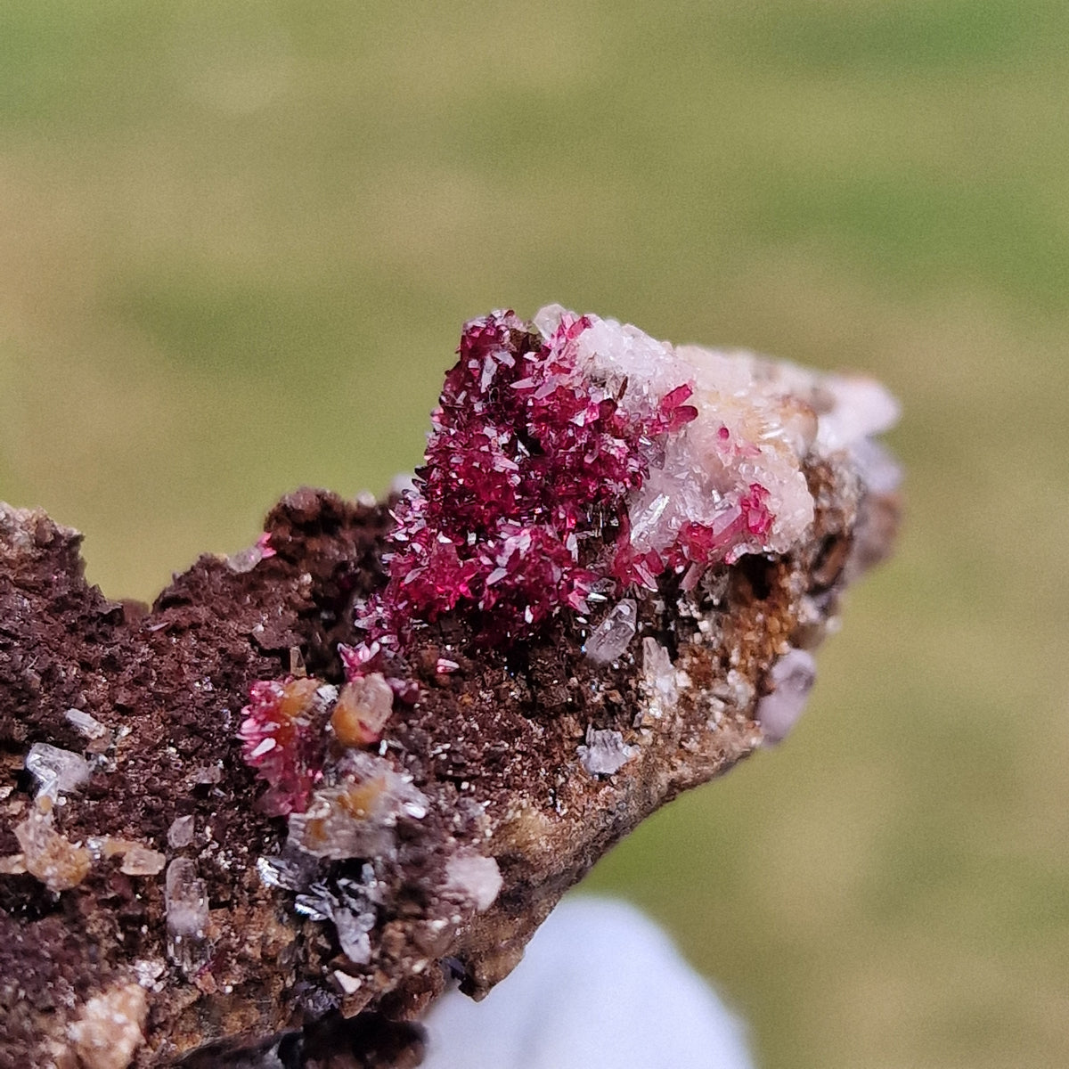 Wendwilsonite - Aghbar Mine, Bou Azzer, Morocco.
