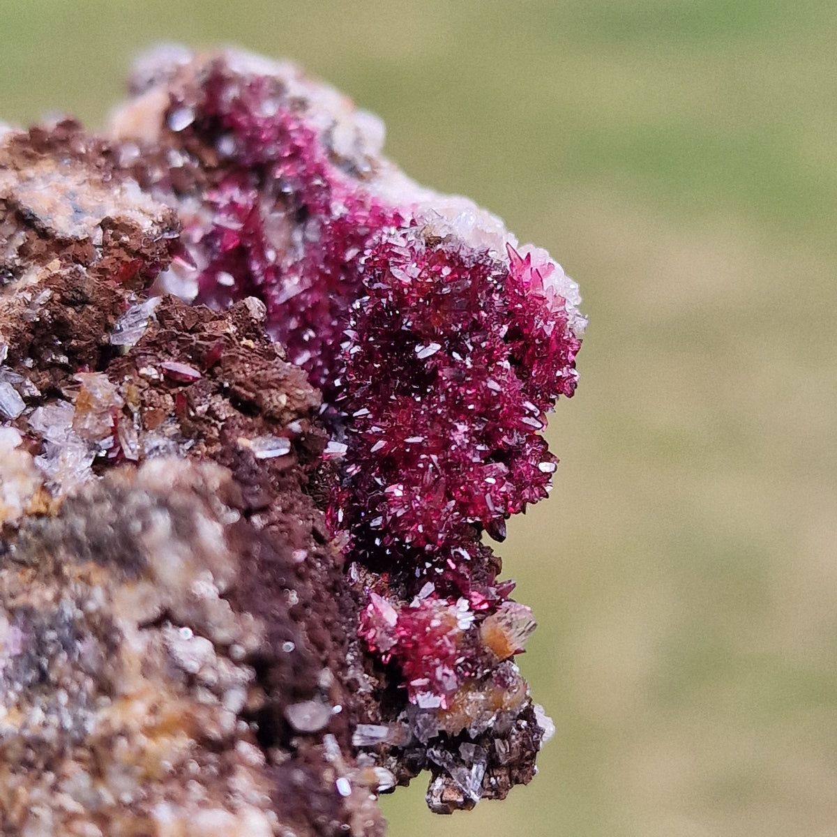 Wendwilsonite - Aghbar Mine, Bou Azzer, Morocco.