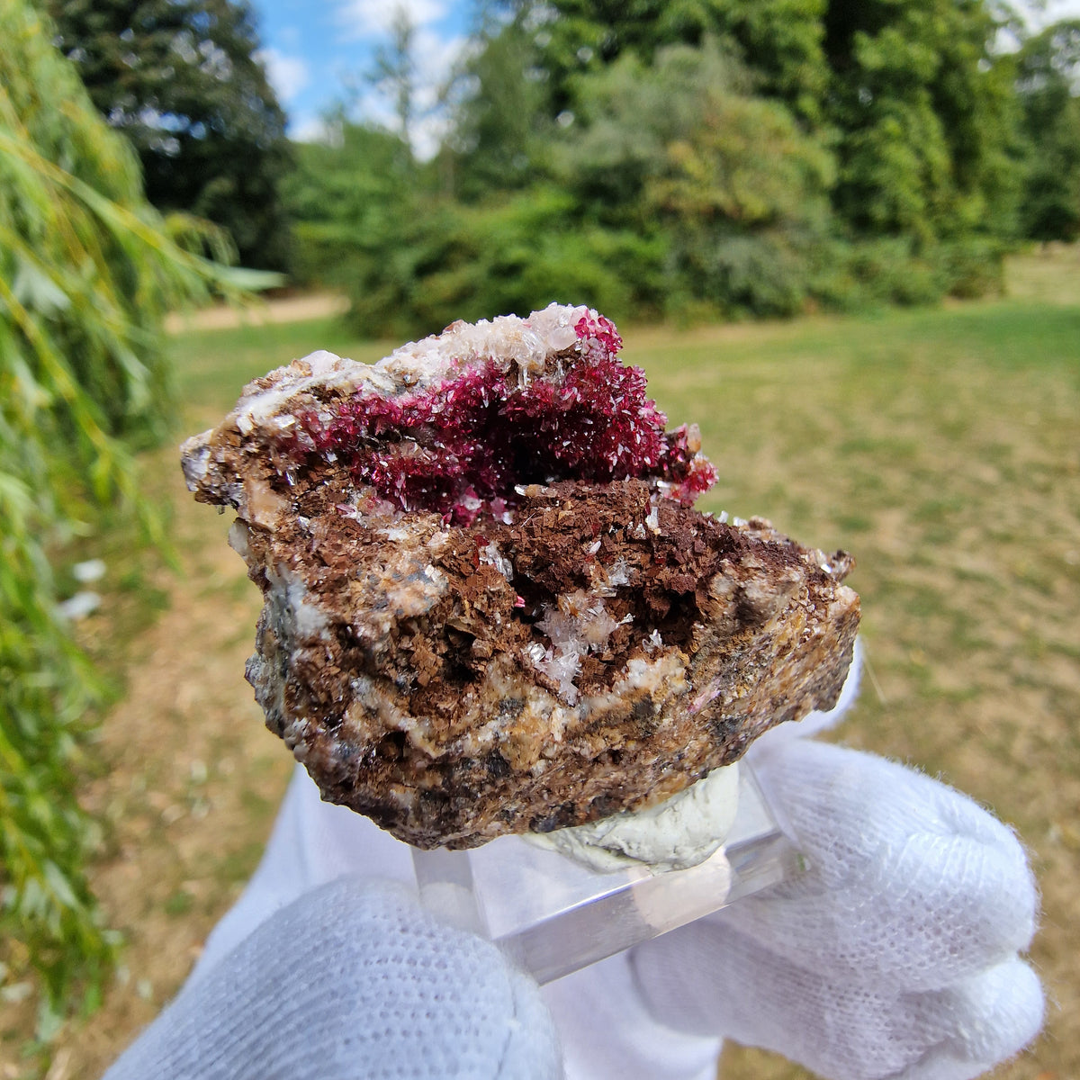 Wendwilsonite - Aghbar Mine, Bou Azzer, Morocco.