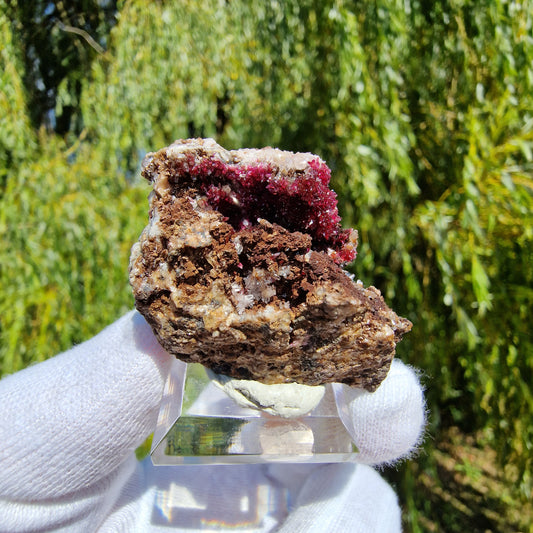 Wendwilsonite - Aghbar Mine, Bou Azzer, Morocco.