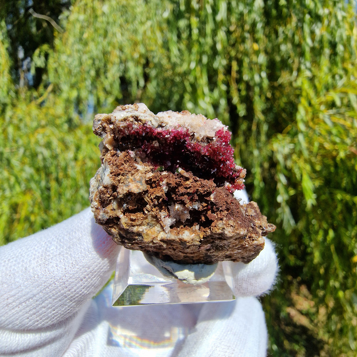 Wendwilsonite - Aghbar Mine, Bou Azzer, Morocco.
