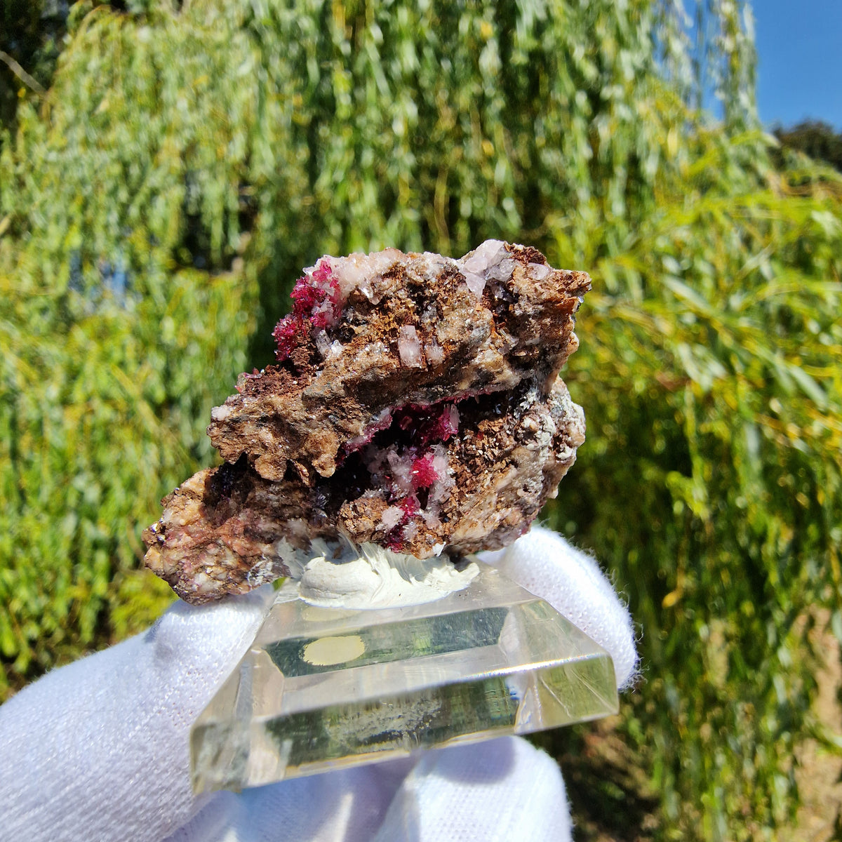 Wendwilsonite - Aghbar Mine, Bou Azzer, Morocco.
