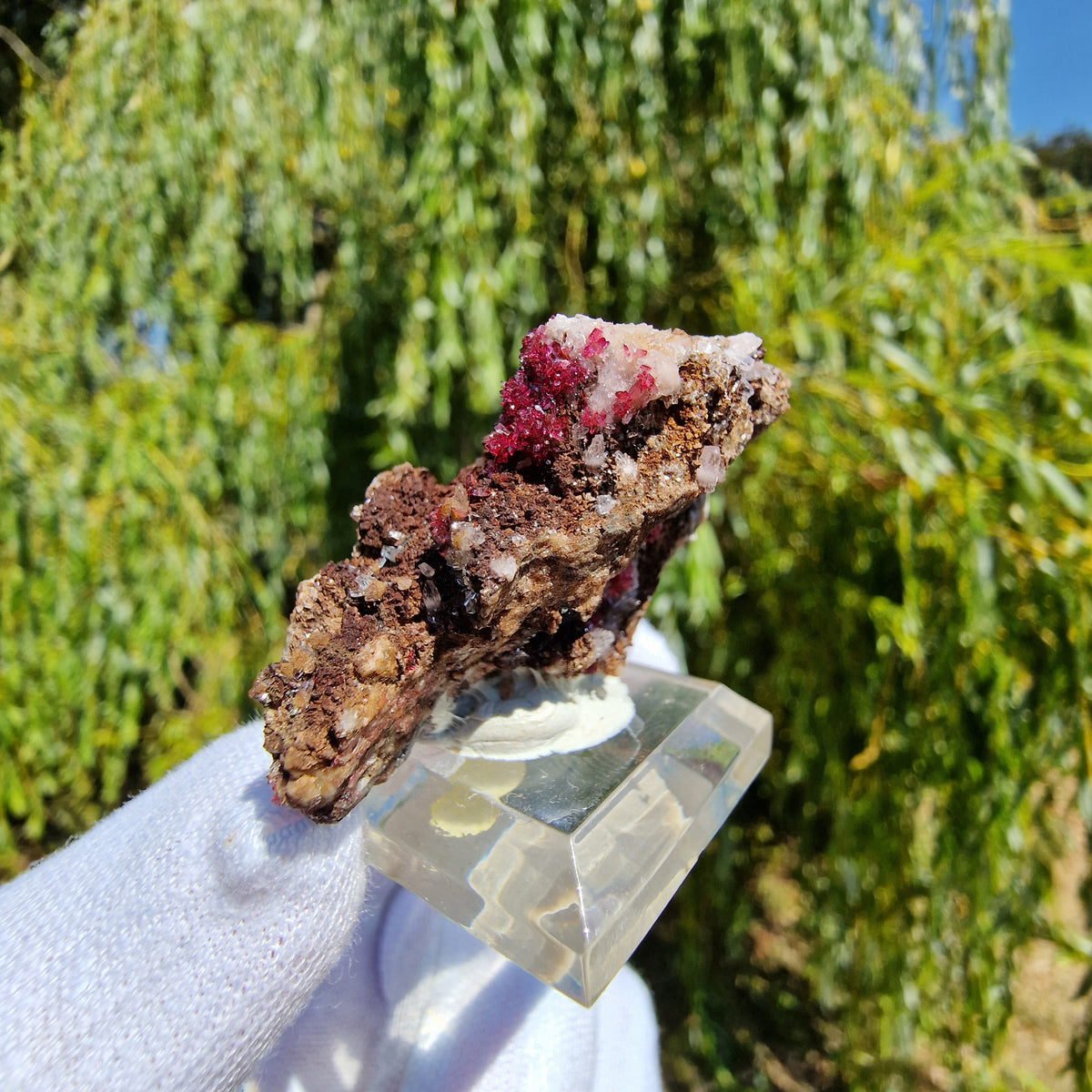 Wendwilsonite - Aghbar Mine, Bou Azzer, Morocco.