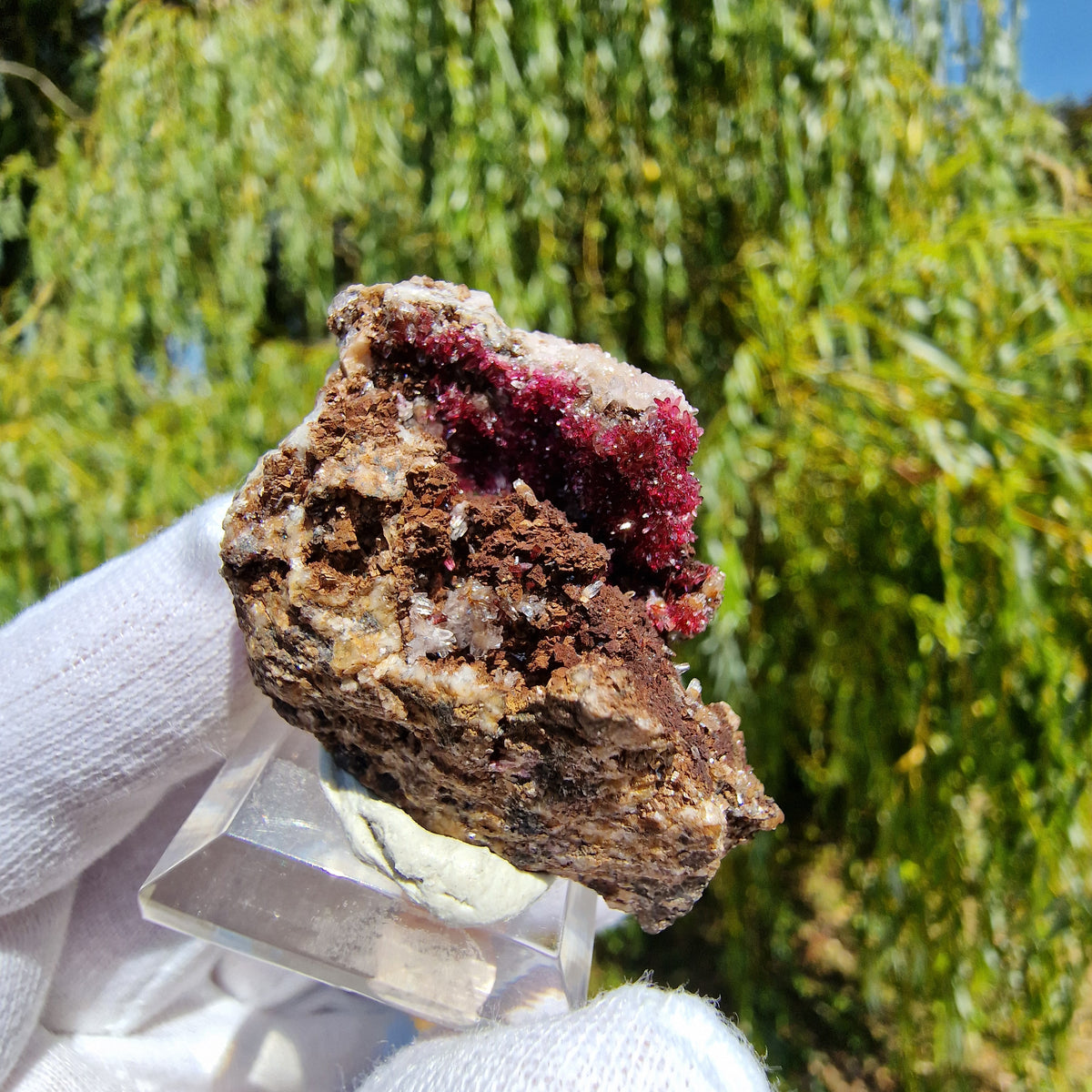 Wendwilsonite - Aghbar Mine, Bou Azzer, Morocco.