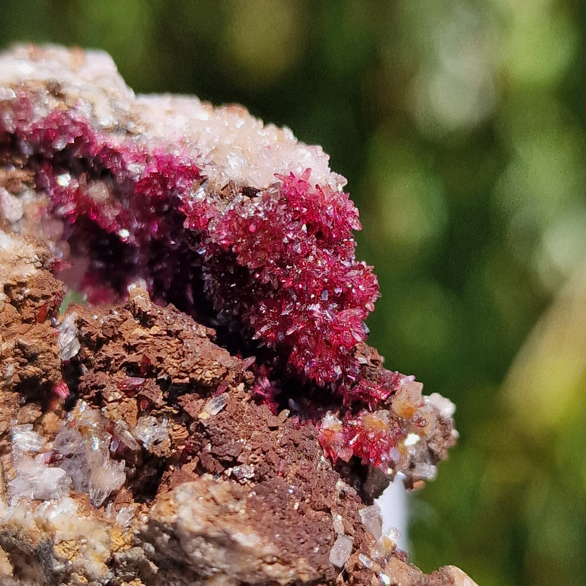 Wendwilsonite - Aghbar Mine, Bou Azzer, Morocco.
