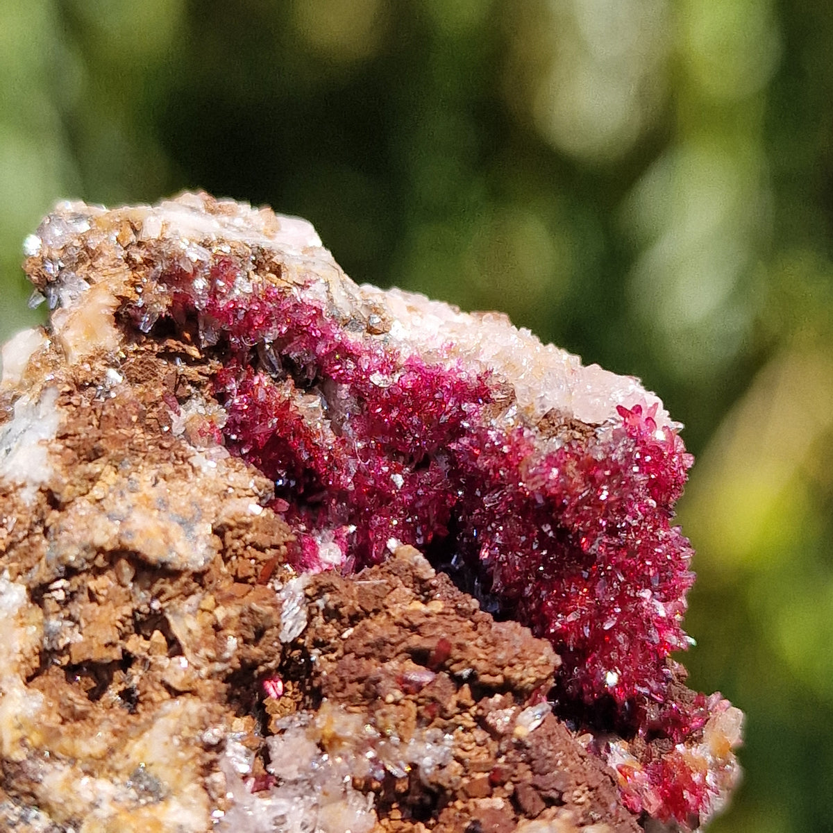 Wendwilsonite - Aghbar Mine, Bou Azzer, Morocco.