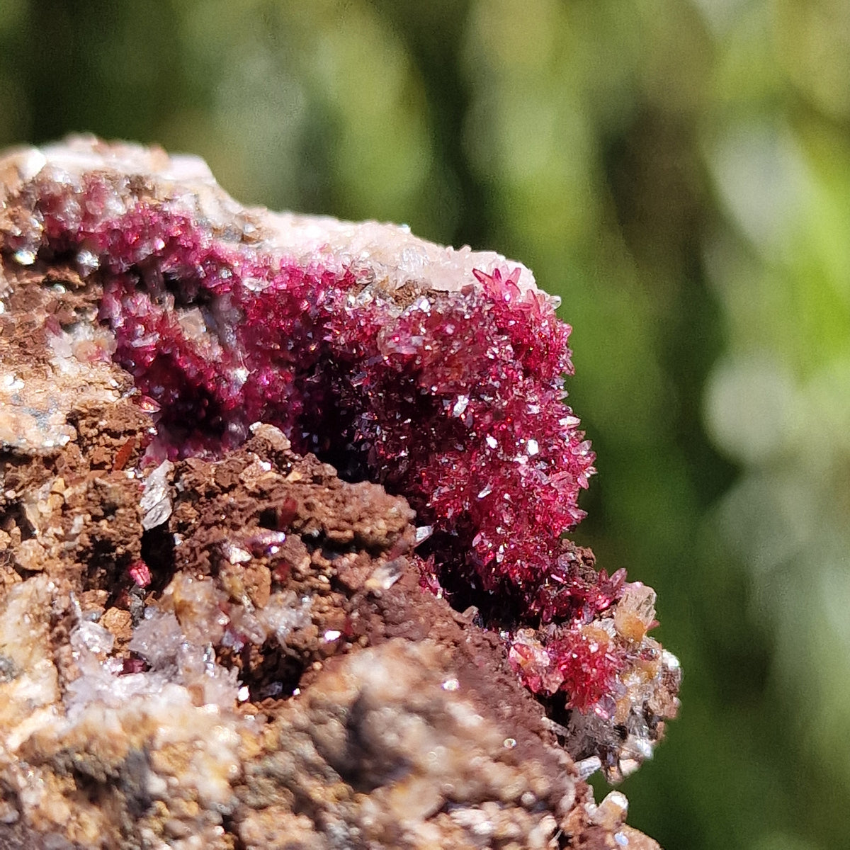 Wendwilsonite - Aghbar Mine, Bou Azzer, Morocco.