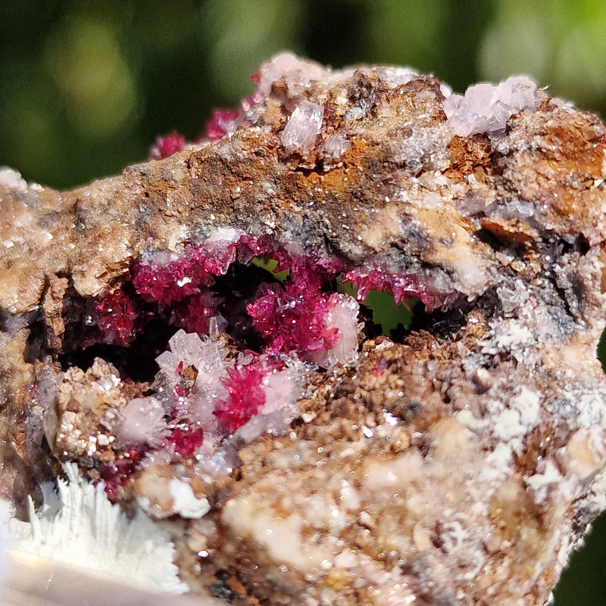 Wendwilsonite - Aghbar Mine, Bou Azzer, Morocco.