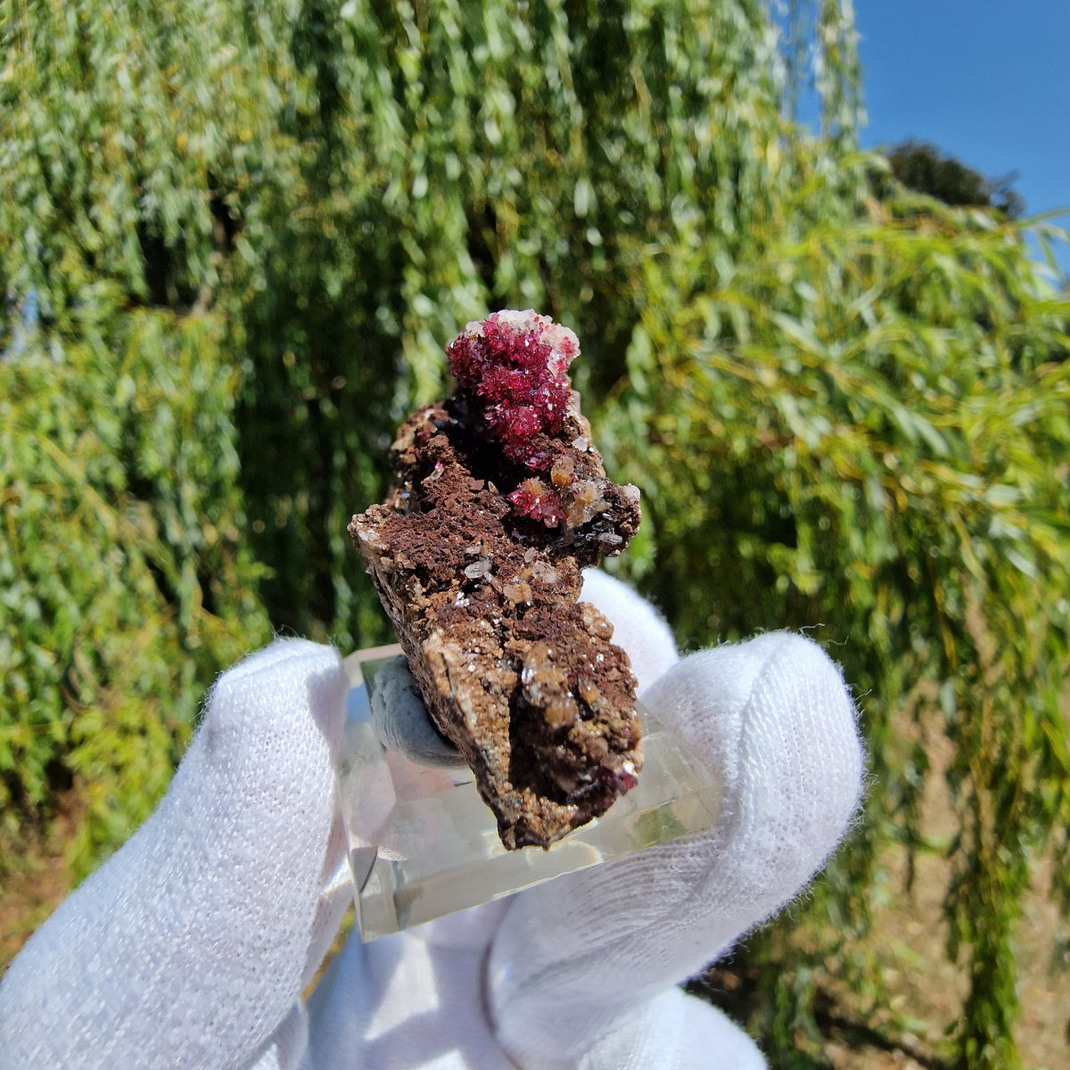Wendwilsonite - Aghbar Mine, Bou Azzer, Morocco.