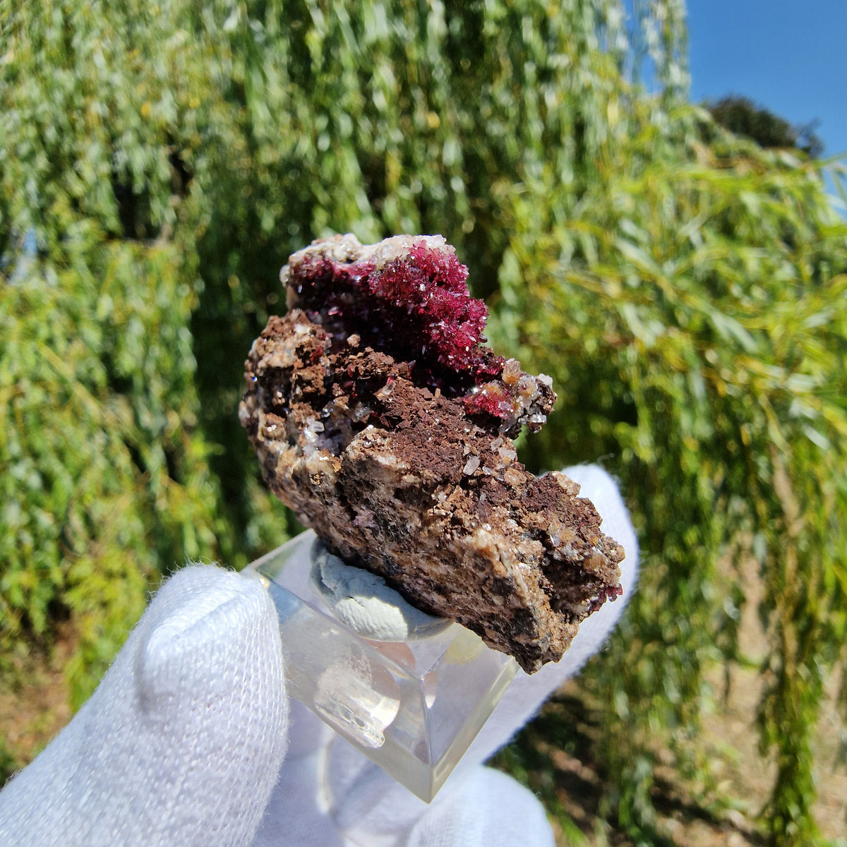 Wendwilsonite - Aghbar Mine, Bou Azzer, Morocco.