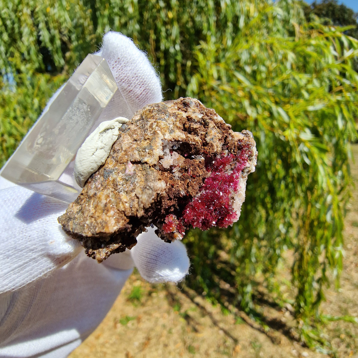 Wendwilsonite - Aghbar Mine, Bou Azzer, Morocco.