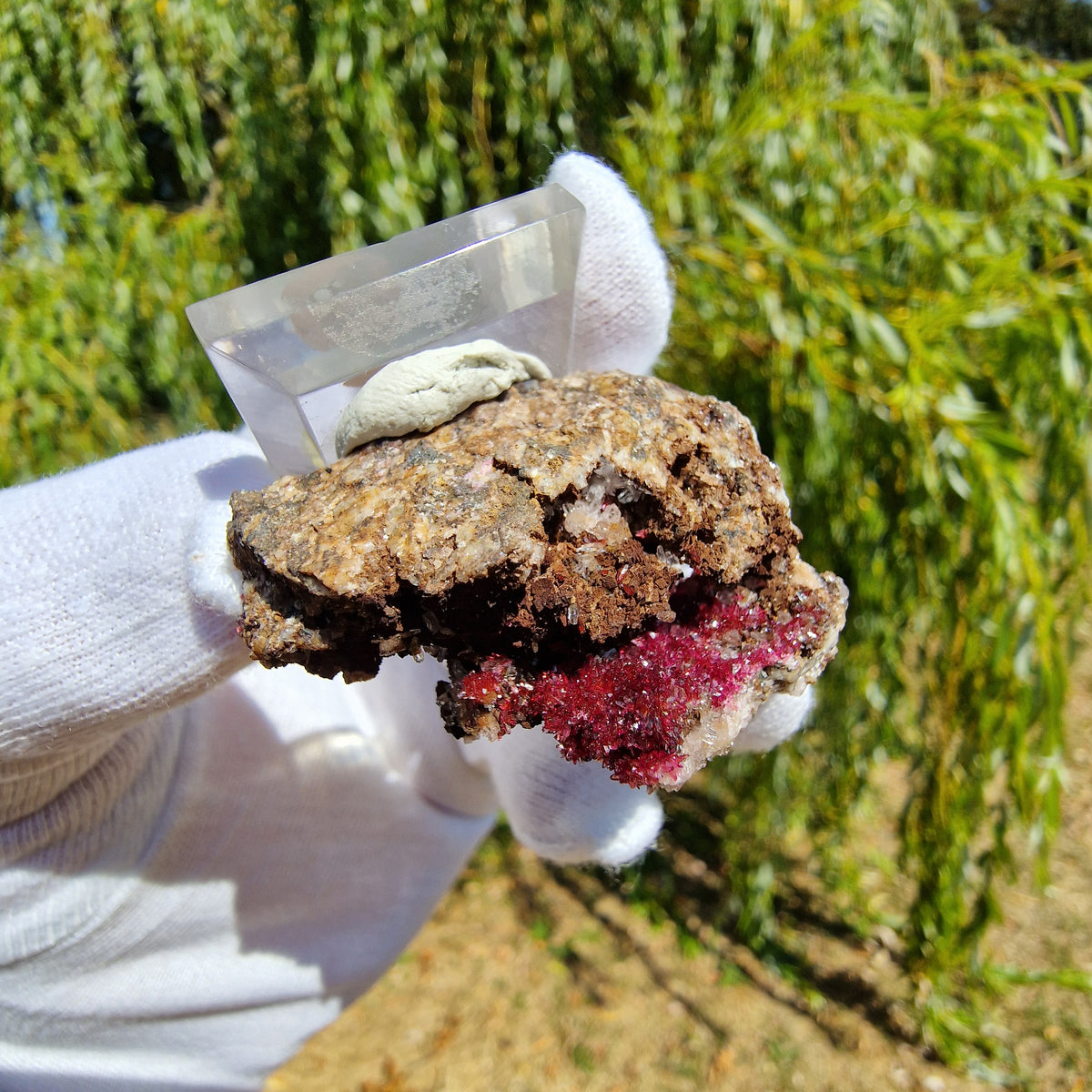 Wendwilsonite - Aghbar Mine, Bou Azzer, Morocco.