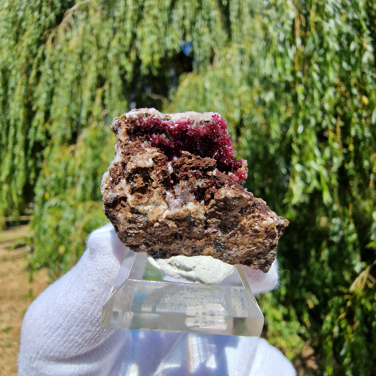 Wendwilsonite - Aghbar Mine, Bou Azzer, Morocco.